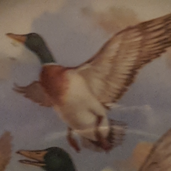 Alpine England Wood&Sons plate | 7/10 - Picture 5 of 11